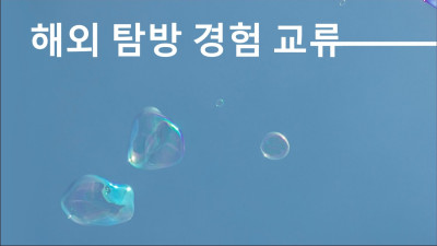 전공관련 국제교류 프로그램의 성공적 준비 방안